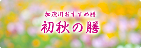 加茂川おすすめ膳 初秋膳