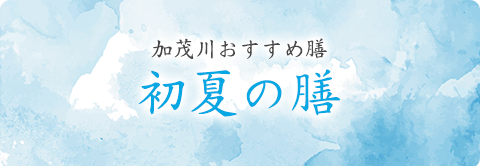 加茂川おすすめ膳 初夏の膳