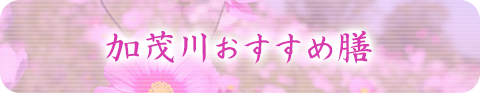 加茂川おすすめ膳