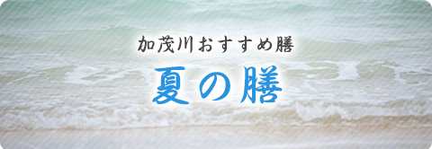 加茂川おすすめ膳 夏の膳